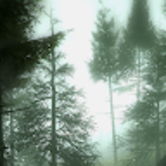 Meet your Posher, Aaron - Picture 1 of 1